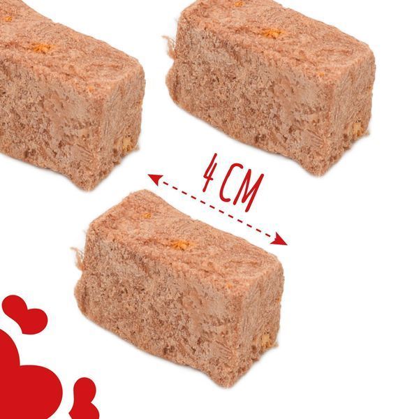 Ласощі для собак від 3-х місяців Mavsy Freeze dried FILET MIGNON BEEF WITH SUNDRIED TOMATOES філе міньон з яловичини та сушеними томатами, 50 г FDMAVSY09 фото