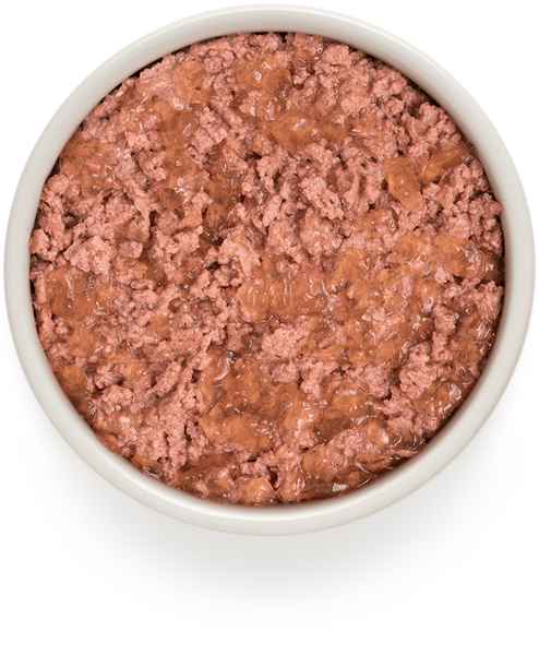 Grandorf Влажный holistic корм для взрослых собак Grandorf LAMB & TURKEY с ягненком и индейкой, 400 г GDW99401 фото