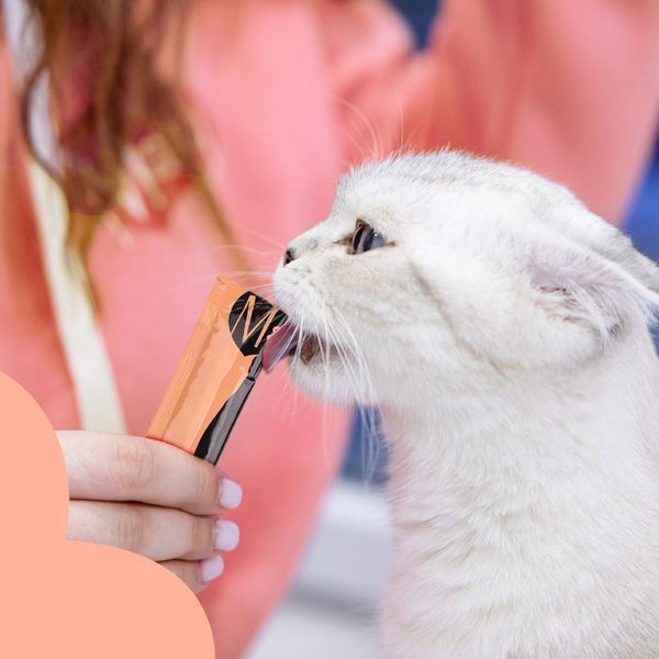 Ласощі кремові для котів Mavsy Creamy superfood SALMON AND TUNA FILLET WITH ALFALFA AND SPLASHED OF CATNIP FOR CATS у вигляді тунцево-лососевого крем супу з квітучою люцерною та вкрапленнями котячої м'яти, 15 г (5 шт) MAVSY06 фото