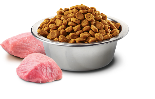 Farmina N&D Prime Grain Free Feline Adult Lamb and Blueberry, Беззерновий сухий корм для дорослих котів, ягня з чорницею, 300 г 156410 фото