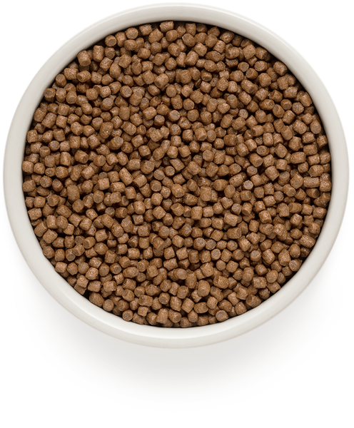GD Cat Kitten Lamb & Turkey 2 кг/ Грандорф ягня та індичка для кошенят 2 кг 81102 фото