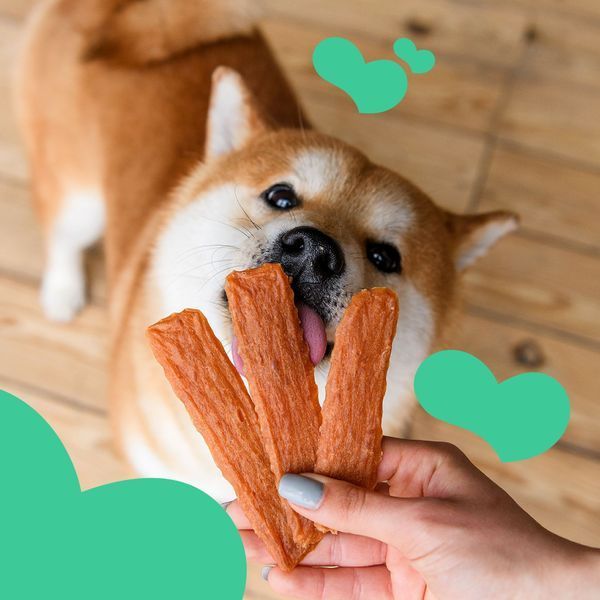 Ласощі дієтичні для собак з чутливим травлення Mavsy RABBIT chips з м'яса кролика, 100 г LSR02 фото