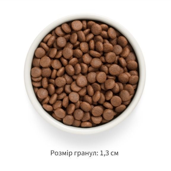 Grandorf Сухой беззерновой корм для взрослых собак средних и крупных пород Grandorf FRESH SALMON & SWEET POTATO ADULT DOG MEDIUM & MAXI с лососем и бататом, 1 кг 94901 фото