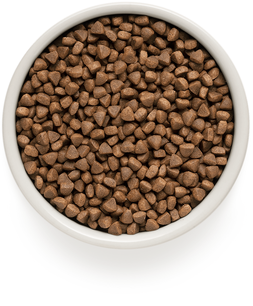 GD Cat Indoor Lamb & Turkey 2 кг/ Грандорф ягненок и индейка для взрослых кошек 2 кг 83102 фото
