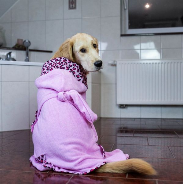 Халат для собак Max & Molly Bath Robe Leopard Pink з леопардовим принтом, S 120091 фото