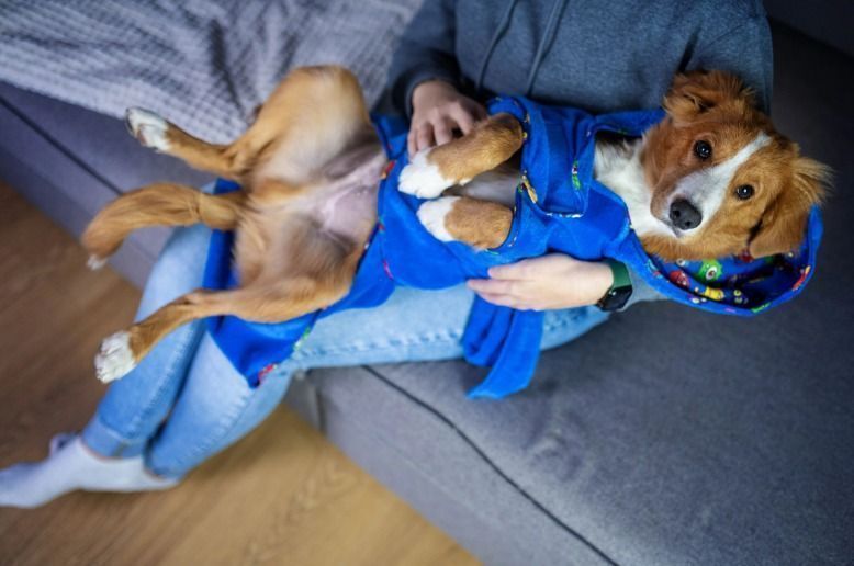 Халат для собак Max & Molly Bath Robe Little Monster з принтом Маленькі монстри, S 183091 фото