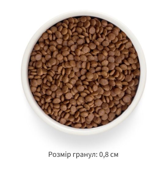Grandorf Сухой беззерновой корм для взрослых кошек Grandorf FRESH SALMON & SWEET POTATO ADULT CAT с лососем и бататом, 2 кг 83802 фото