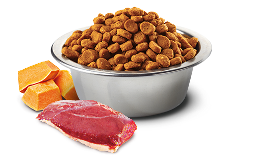 Farmina N&D Pumpkin Grain Free Cat Adult Duck & Cantaloupe, 300 г 168804 фото