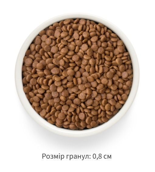 Grandorf FRESH DUCK & SWEET POTATO ADULT CAT - Сухий корм для дорослих котів качка з бататом, 2 кг 83902 фото
