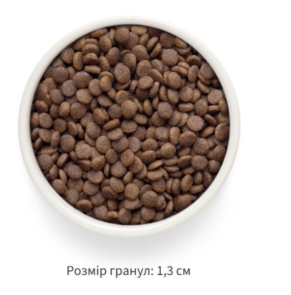 Grandorf FRESH LAMB & SWEET POTATO ADULT LARGE CAT - сухой корм для взрослых кошек больших пород ягненка с бататом, 2 кг 83402 фото