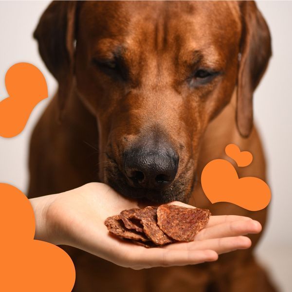 Лакомство для собак от 3-х месяцев Mavsy Refined jerky DUCK CHIPS WITH CHIA SEEDS AND CARROTS чипсы из утки с семенами чиа и морковью, 50 г LSRM04 фото