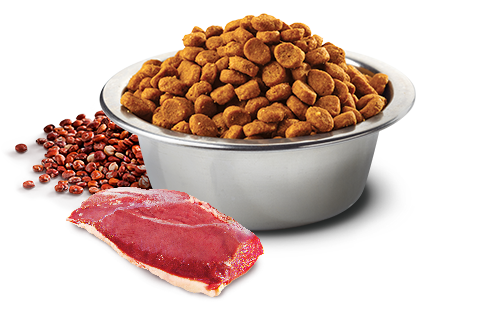 Farmina N&D Quinoa Urinary Duck & Cranberry Adult Cat для дорослих котів для профілактики сечокам'яної хвороби, з качкою, кіноа, журавлиною та ромашкою, 300 г 179467 фото