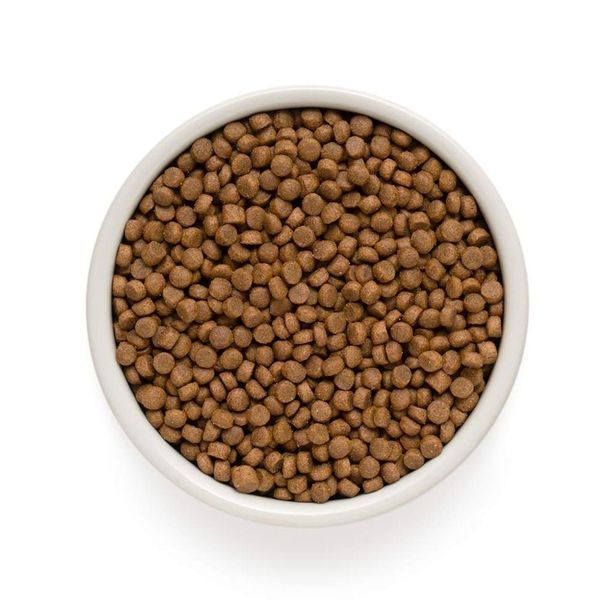 GD Cat Indoor 4 Meat 2 кг/ Грандорф 4 вида м'яса для дорослих котів 2 кг 83702 фото